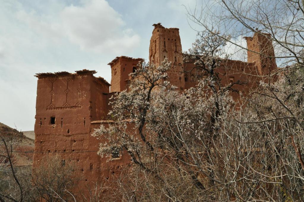 Kasbah Tigmi N'Oufella Bed & Breakfast Telouet Ngoại thất bức ảnh
